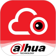 大华云商官网版