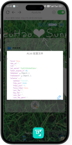 高级配置 AListLite 第7张图