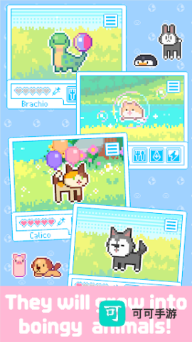 亲爱的呆萌呆萌动物们