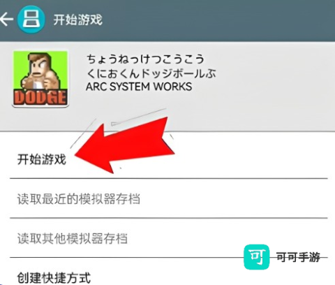 NDS模拟器 第11张图