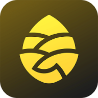 松果出行手机版