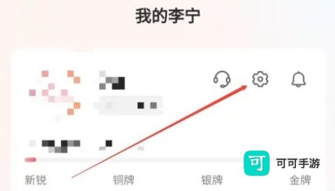 李宁 第5张图