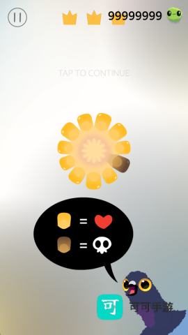 乱啄的鸽子 第2张图