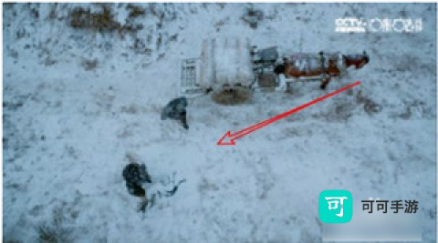 咪咕视频最新版 第2张图