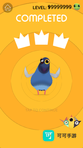 乱啄的鸽子 第4张图