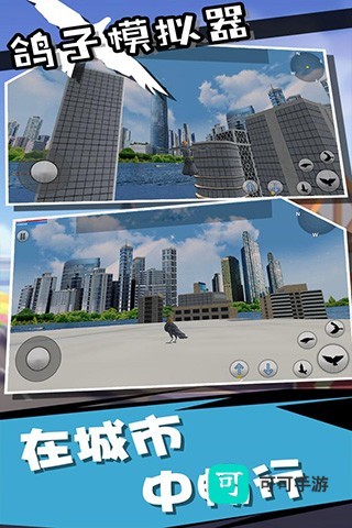 鸽子模拟器