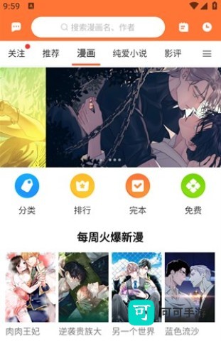 番木瓜 第9张图