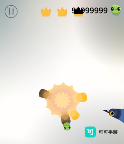 乱啄的鸽子 第5张图