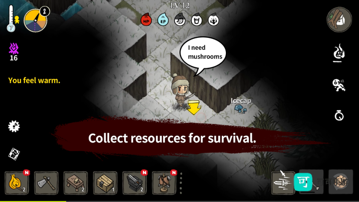 黑暗荒野莽荒森林 第2张图