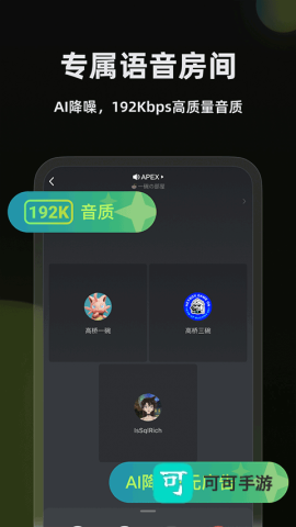 黑盒语音