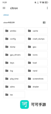 Citron柠檬模拟器 第5张图