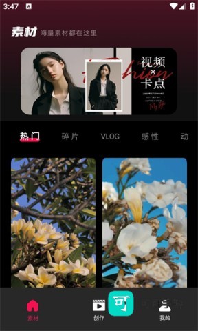 tibni 第1张图
