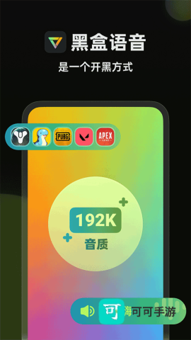 黑盒语音