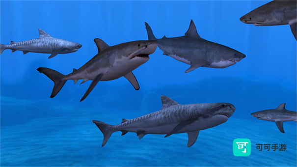 养鱼场3 第1张图