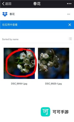 Dropbox 第3张图