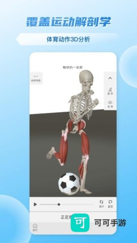 维萨里3d解剖