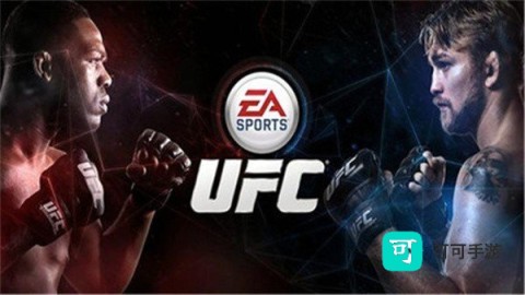 ufc终极格斗冠军赛 第3张图