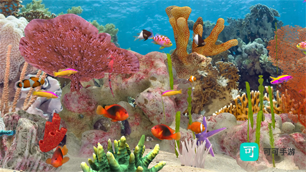 养鱼场3 第2张图