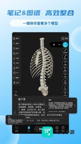 维萨里3d解剖 第3张图