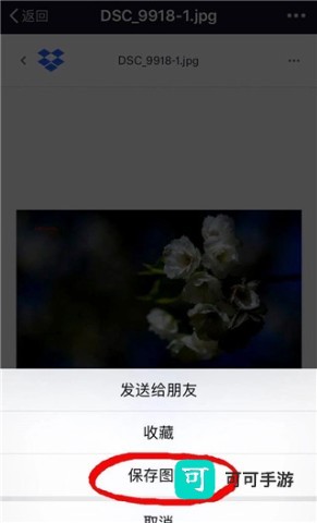 Dropbox 第5张图