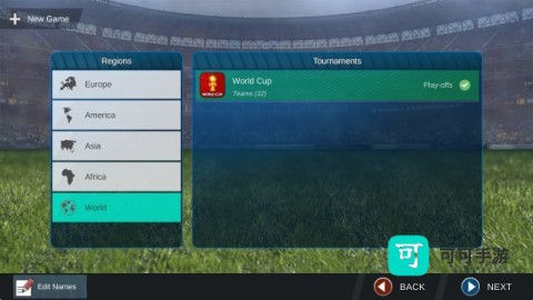 职业联赛足球 第1张图