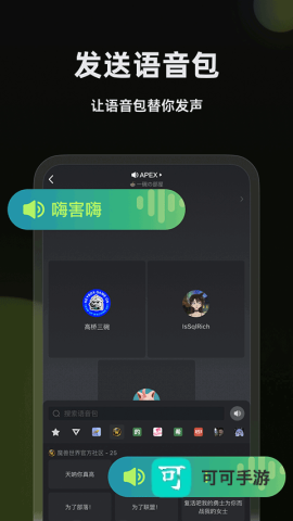 黑盒语音