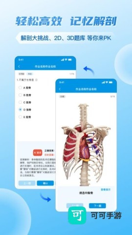 维萨里3d解剖 第2张图
