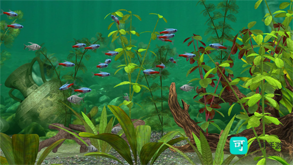 养鱼场3 第3张图