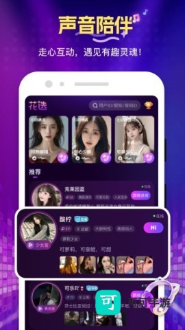 花选 第1张图