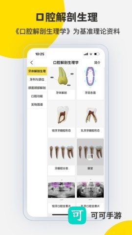 3Dbody解剖