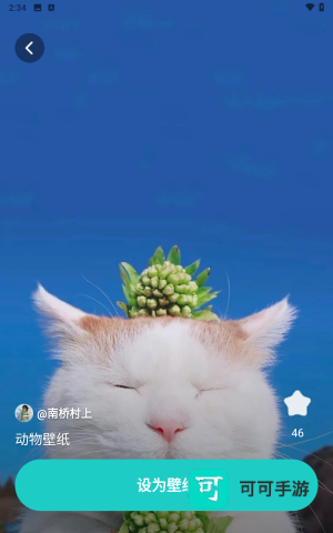 青藤壁纸 第3张图