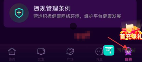 花选 第3张图