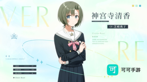 四叶草的花语 第8张图