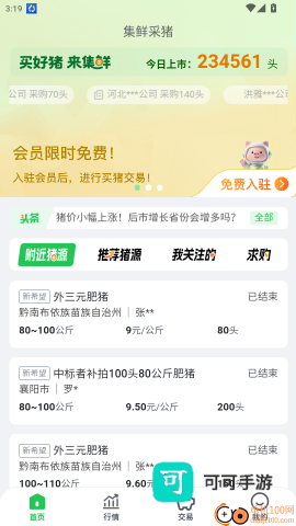 集鲜采猪