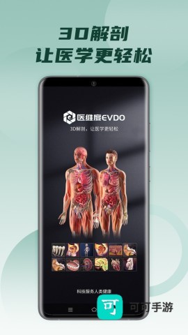 医维度解剖