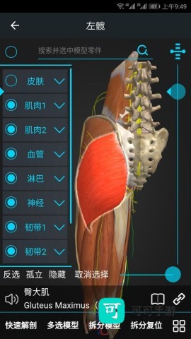 医维度解剖 第1张图