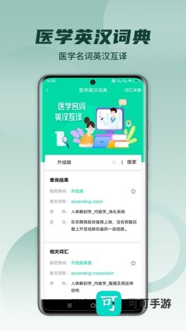医维度解剖