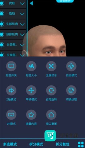 医维度解剖 第5张图