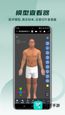 医维度解剖