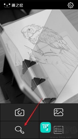光学绘画 第2张图