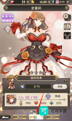 桃色旅团 第6张图