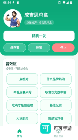 成吉思鸡盒 第4张图