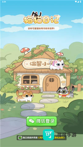 猫猫日记 第3张图