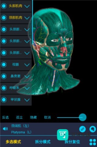医维度解剖 第3张图