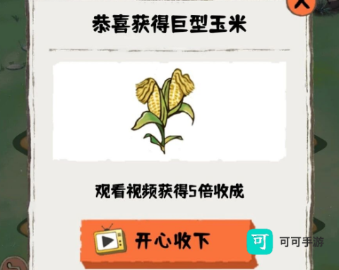 枫叶小居 第5张图