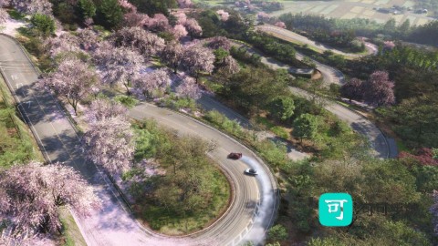 地平线6