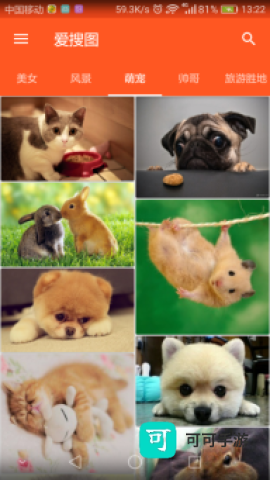 爱搜图 第1张图